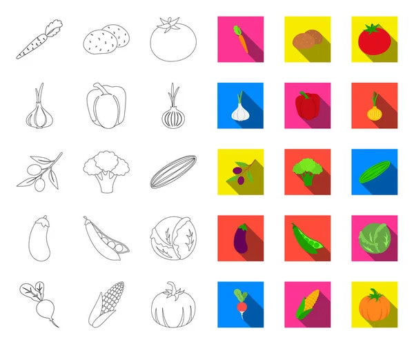 Различные виды овощей очертания, плоские иконки в наборе коллекции для дизайна. Овощи и витамины векторные символы веб-иллюстрация . — стоковый вектор