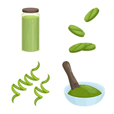 Spirulina ve yosun simgesivektör illüstrasyon. Stok için spirulina ve vegan vektör simgesinin toplanması.