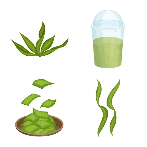 Ilustración vectorial de espirulina y símbolo de algas marinas. Conjunto de espirulina y símbolo de stock vegano para web . — Archivo Imágenes Vectoriales