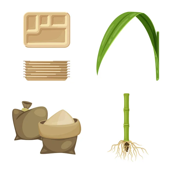 Ilustração vetorial da cana-de-açúcar e do ícone da cana. Coleção de cana-de-açúcar e campo vetor ícone para estoque . —  Vetores de Stock