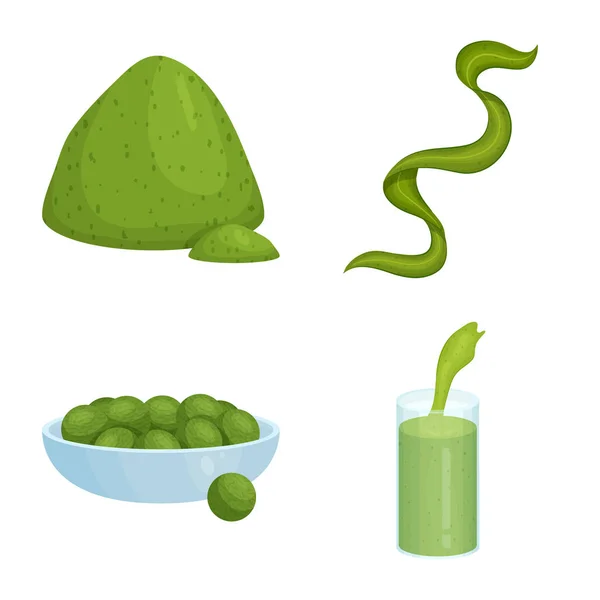 Diseño vectorial de espirulina y símbolo de algas marinas. Conjunto de espirulina y vector vegano icono para stock . — Vector de stock