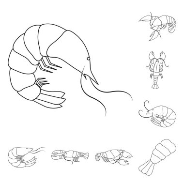 Gıda ve deniz logosu vektör tasarımı. Stok için yiyecek ve hayvan vektör simgesi kümesi.