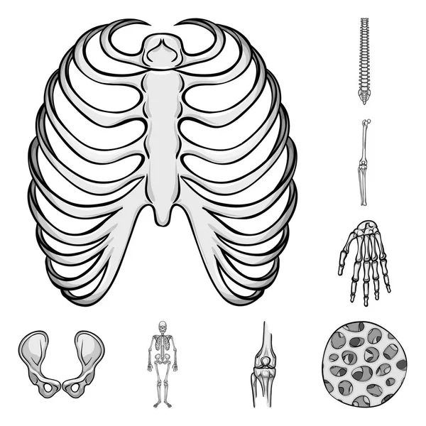 Progettazione vettoriale di biologia e logo medico. Set di simboli di stock di biologia e scheletro per web . — Vettoriale Stock
