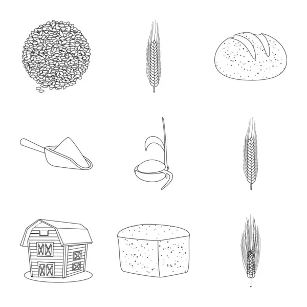 Illustrazione vettoriale del segno agricolo e agricolo. Set di icone vettoriali agricole e vegetali per lo stock . — Vettoriale Stock