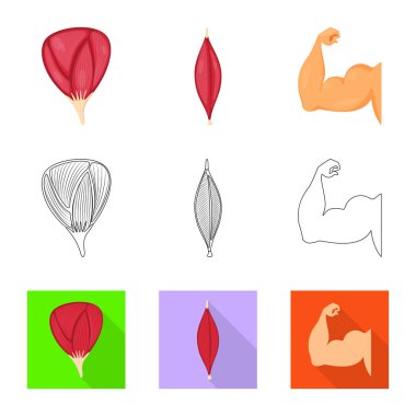 Lif ve kas simge vektör Illustration. Hisse senedi için lif ve vücut vektör simge topluluğu.