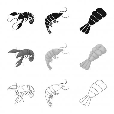 Meze ve okyanus simge vektör tasarımı. Meze ve incelik hisse senedi vektör çizim topluluğu.