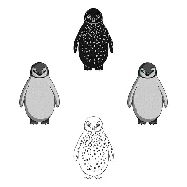 Pingüino.Animales icono único en la historieta, negro estilo vector símbolo stock ilustración web . — Vector de stock