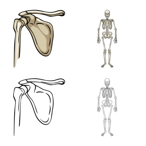 医学と診療所アイコンの孤立したオブジェクト。医学と医療の株式ベクトル イラスト集. — ストックベクタ