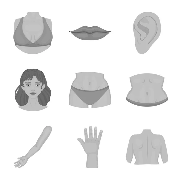 Vector ontwerp van lichaam en deel van de teken. Set van lichaam en anatomie vector pictogram voor voorraad. — Stockvector