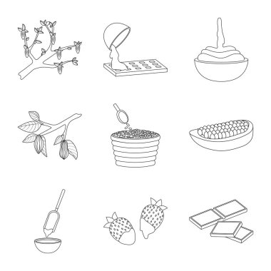 Kakao ve fasulye sembolü vektör Illustration. Kakao ve tatlılık stok vektör çizim seti.