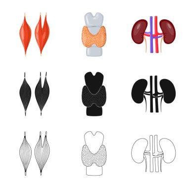 Biyoloji ve bilimsel simge vektör tasarımı. Biyoloji ve laboratuvar hisse senedi simgesi için web topluluğu.