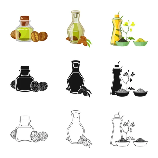 Ilustración vectorial del icono saludable y vegetal. Colección de símbolo de stock saludable y agrícola para la web . — Archivo Imágenes Vectoriales