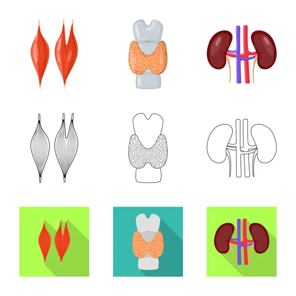 Isoliertes Objekt der Biologie und wissenschaftliche Ikone. Biologie und Labormaterial-Vektor-Illustration. — Stockvektor