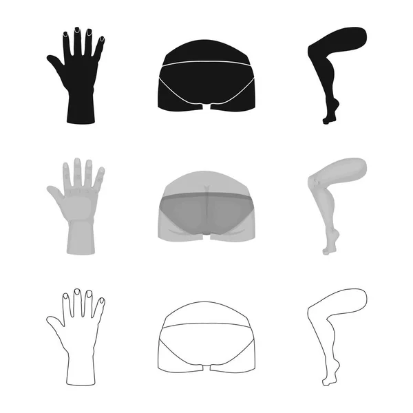 Ilustración vectorial del cuerpo y el logotipo de la pieza. Conjunto de cuerpo y anatomía símbolo de stock para web . — Vector de stock