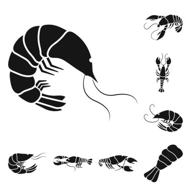 Et ve incelik simgesi izole nesne. Web için et ve yengeç stok sembolü koleksiyonu.