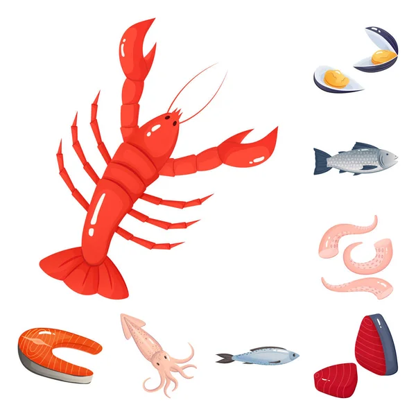 Projeto vetorial de comida e símbolo do mar. Conjunto de alimentos e ícone vetor saudável para estoque . —  Vetores de Stock