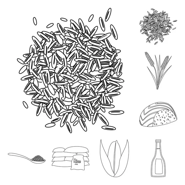 Векторный дизайн диеты и логотипа приготовления пищи. Коллекция диетических и органических векторных иллюстраций . — стоковый вектор