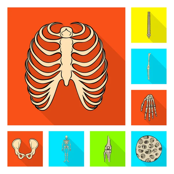 Ізольований об'єкт піктограми кістки та скелета. Набір кісток і людського запасу Векторні ілюстрації . — стоковий вектор