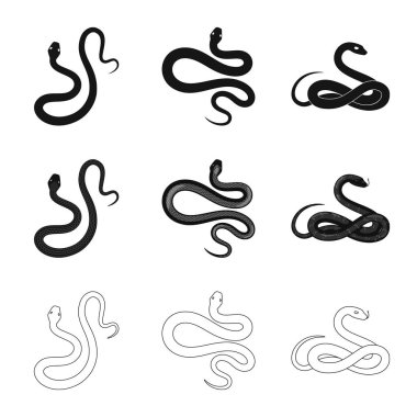 Memeli ve tehlike sembolü yalıtılmış nesne. Memeli ve tıp hisse senedi simgesi web için kümesi.