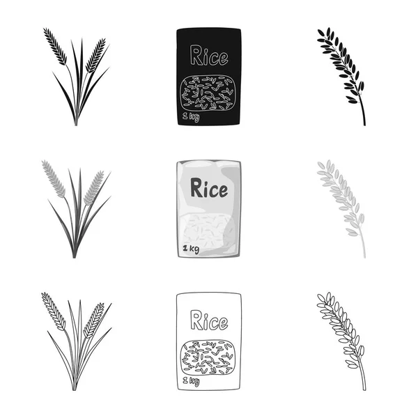 Ізольований об'єкт врожаю та екологічної ікони. Набір врожаю і приготування їжі Векторна піктограма на складі . — стоковий вектор