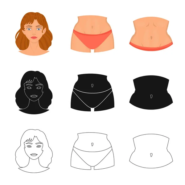 Isolated object of body and part icon. Collection of body and anatomy vector icon for stock. — Stock Vector