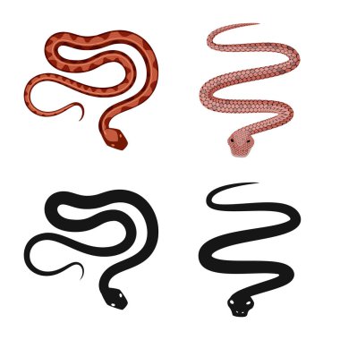 Mammal ve tehlike işareti vektör Illustration. Memeli ve tıp hisse senedi vektör çizim seti.