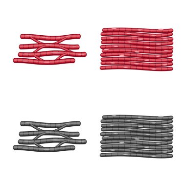 Lif ve kas simge vektör tasarımı. Hisse senedi için lif ve vücut vektör simge topluluğu.