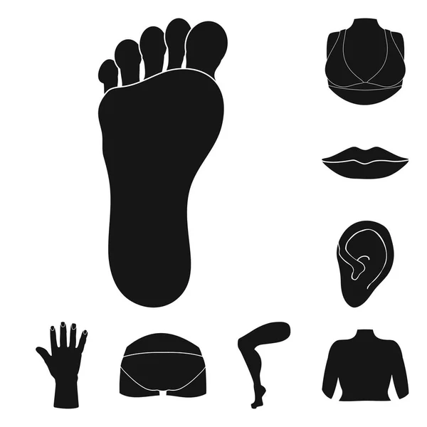 Vektor desain tubuh dan ikon bagian. Set tubuh dan anatomi simbol stok untuk web . - Stok Vektor