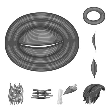 Vektör tasarımı insan ve vücut oturum açın. İnsan ayarla ve hücreleri hisse senedi için simge vektör.