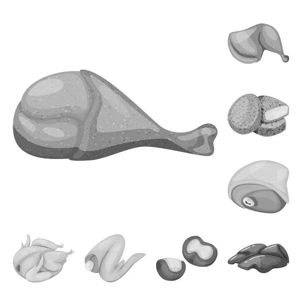 요리와 조류 로고의 벡터 그림입니다. 웹 요리와 가금류 주식 기호의 컬렉션. — 스톡 벡터