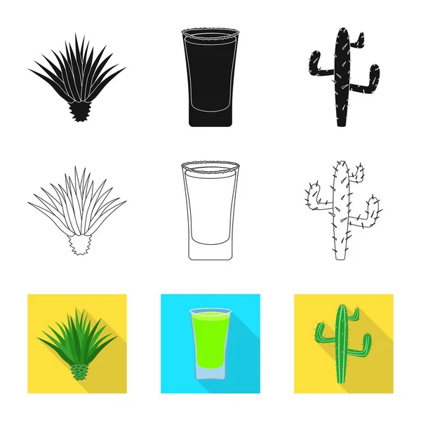 Illustration vectorielle de café et signe latin. Ensemble de café et icône vectorielle nationale pour stock . — Image vectorielle