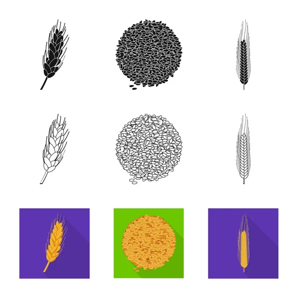 Logo isolé de l'agriculture et de l'agriculture. Collection d'agriculture et de matériel végétal symbole pour la toile . — Image vectorielle