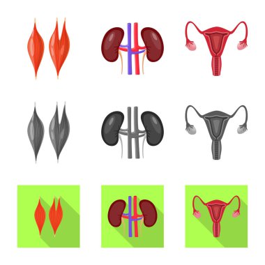 Biyoloji ve bilimsel sembolü yalıtılmış nesne. Biyoloji ve laboratuvar hisse senedi vektör çizim topluluğu.