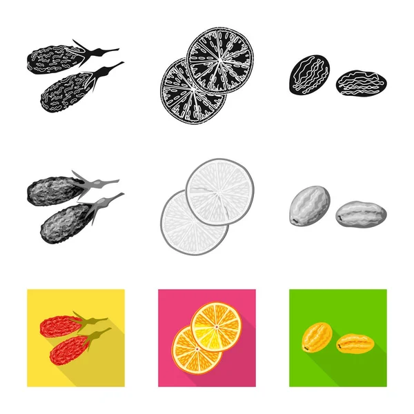 Gıda ve ham logo vektör çizimi. Gıda topluluğu ve hisse senedi için doğa vektör simgesi. — Stok Vektör