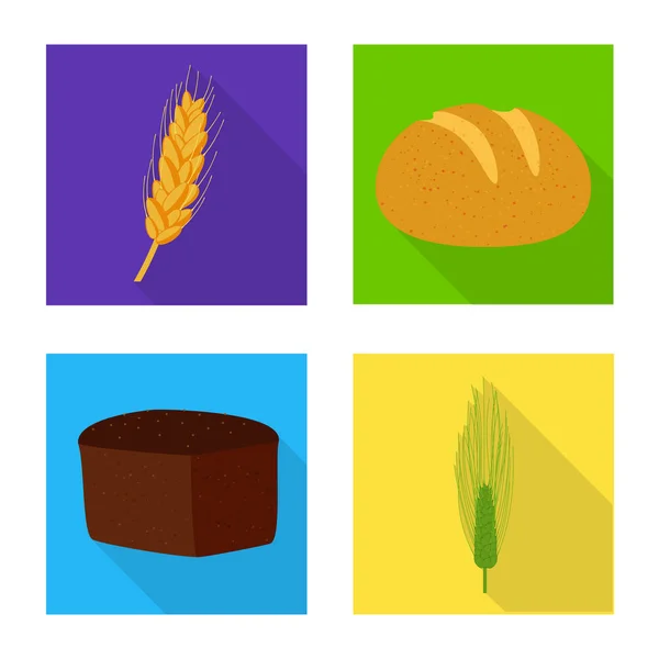 Diseño vectorial del logotipo de trigo y maíz. Recolección de trigo e ilustración del vector del stock de cosecha . — Archivo Imágenes Vectoriales