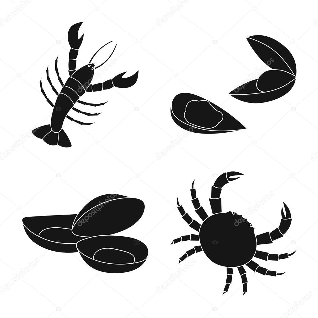 Isolated object of market and marine  icon. Collection of market and sea stock vector illustration.