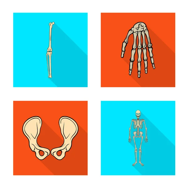 Векторный дизайн кости и иконы скелета. Набор векторных иллюстраций костей и человеческого рода . — стоковый вектор