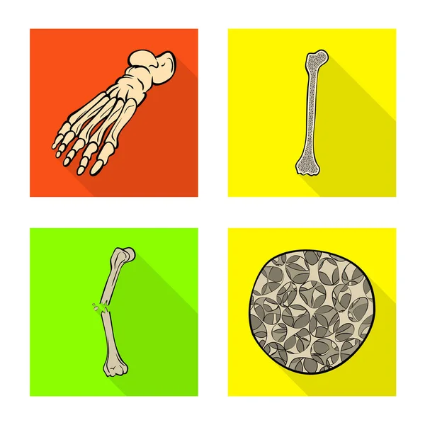 Vektor-Design von Knochen und Skelett-Symbol. Sammlung von Abbildungen von Knochen und menschlichen Stammvektoren. — Stockvektor