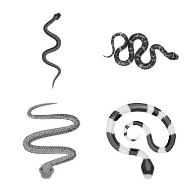 Zarar ve ısırık simgesivektör illüstrasyon. Web için zarar ve sürüngen stok sembolü kümesi.