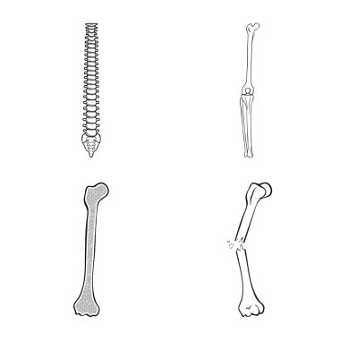 Tıp ve klinik simge vektör tasarımı. İlaç ve tıbbi hisse senedi simgesi için web topluluğu.