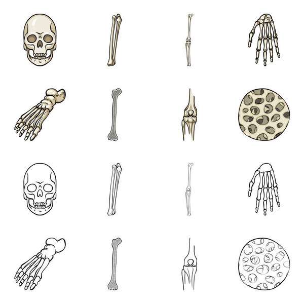 Векторная иллюстрация медицины и знака клиники. Набор лекарственных средств и медицинских векторных значков для склада
.