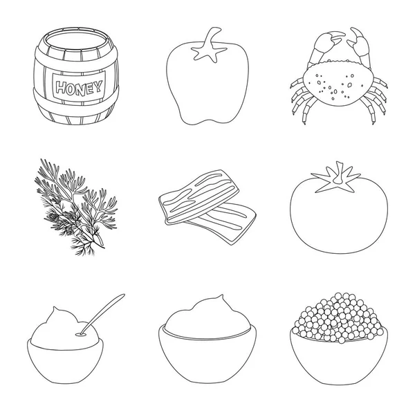 Vector illustration of seasonin and ingredient  symbol. Set of seasonin and aroma vector icon for stock. — Stock Vector