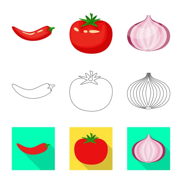 Diseño vectorial de sabor y logotipo del producto. Colección de sabor y cocina icono vectorial para stock . — Vector de stock