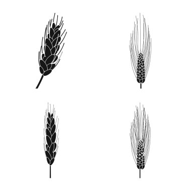 Çavdar ve bitki işareti vektör tasarımı. Stok için çavdar ve Mısır vektör simgesi koleksiyonu.