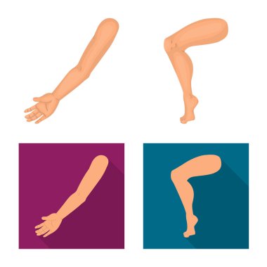 Vücut ve bölümü logo vektör tasarımı. Vücut ve anatomi hisse senedi simgesi için web topluluğu.