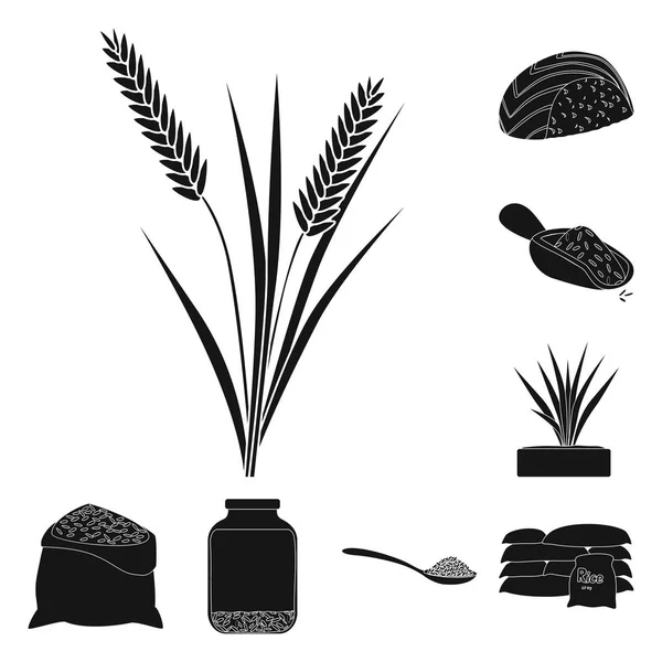 Векторная иллюстрация диеты и знака приготовления пищи. Набор диетических и органических векторных значков для склада . — стоковый вектор