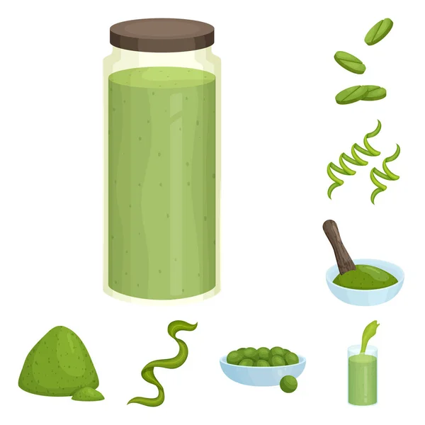 Diseño vectorial de espirulina y símbolo de algas marinas. Colección de espirulina e ilustración de vector de stock vegano . — Archivo Imágenes Vectoriales