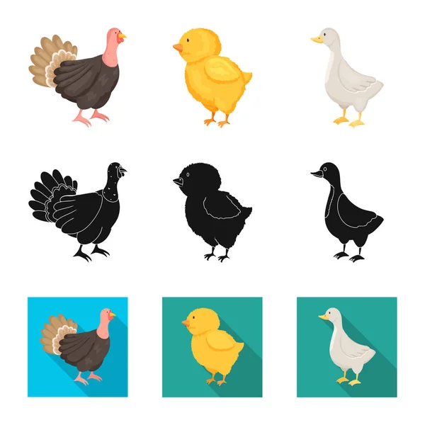 Isolated object of breeding and kitchen  symbol. Collection of breeding and organic  vector icon for stock. — Stock Vector