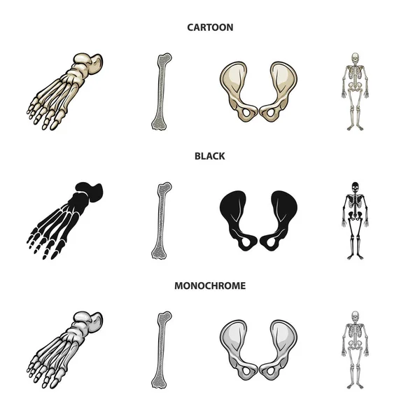 Ilustração vetorial da medicina e símbolo da clínica. Coleção de medicina e símbolo de estoque médico de web . — Vetor de Stock