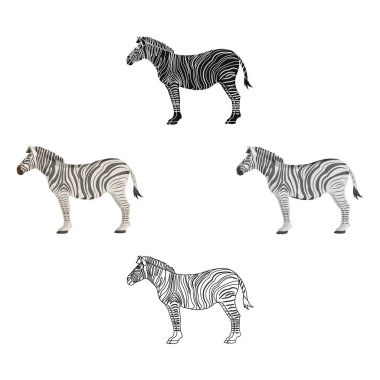 Afrika, çöl zebrası. Vahşi karanfil toynak hayvan, çizgi film zebra tek simge, siyah tarzı vektör sembolü stok illüstrasyon web.